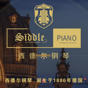 西德尔Siddle品牌logo