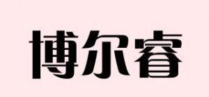 博尔睿品牌logo