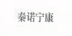 秦诺宁康品牌logo