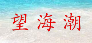 望海潮品牌logo