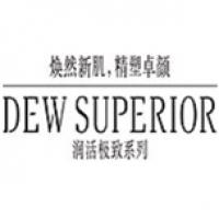 DEW SUPERIORDEWSUPERIOR品牌logo