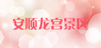 安顺龙宫景区品牌logo