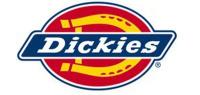 帝客DICKIES品牌logo