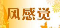 风感觉品牌logo