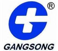 gangsong品牌logo