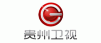 贵州卫视品牌logo