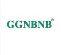 ggnbnb品牌logo