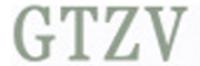 GTZV品牌logo