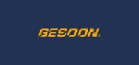 gesoon品牌logo