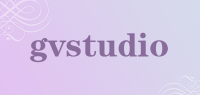gvstudio品牌logo