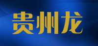 贵州龙品牌logo