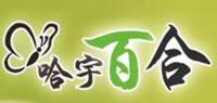 哈宇百合品牌logo