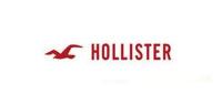 霍利斯特品牌logo