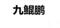 九鲲鹏品牌logo