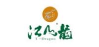 江山龙品牌logo