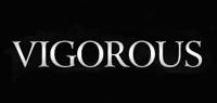 健步VIGOROUS品牌logo
