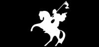 狂野骑士品牌logo