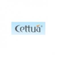 可迪CETTUA品牌logo