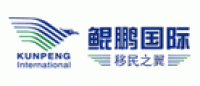 鲲鹏国际品牌logo
