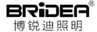 博锐迪品牌logo