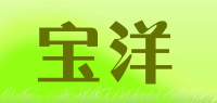 宝洋品牌logo