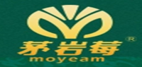 茅岩莓品牌logo