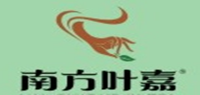 南方叶嘉品牌logo