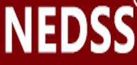 耐达斯品牌logo