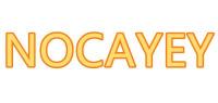诺卡伊品牌logo