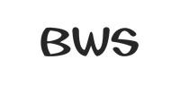 毕维斯BWSEST1988品牌logo