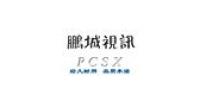 鹏城视讯品牌logo