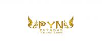 Payanak品牌logo