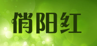 俏阳红品牌logo