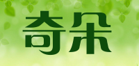 奇朵品牌logo