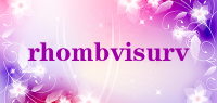 rhombvisurv品牌logo