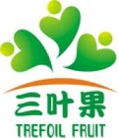 三叶果品牌logo