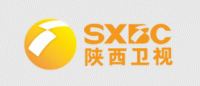 陕西卫视品牌logo