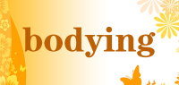 bodying品牌logo