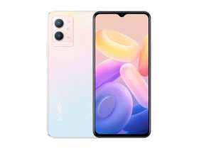 vivo Y33s