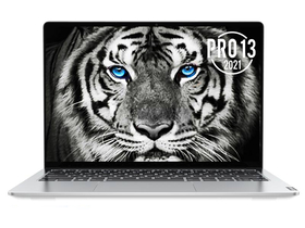 联想小新Pro 13 2021(酷睿i5-1135G7/16GB/512GB/MX450)