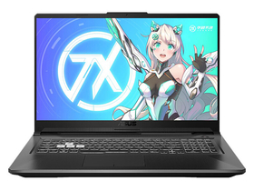 华硕天选2 Plus(酷睿i7-11800H/16GB/512GB/RTX3060/144Hz)