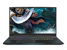 机械革命深海泰坦X10 PRO(酷睿i7-10875H/32GB/512GB+2TB/RTX3070)