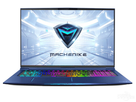机械师F117-FPD(酷睿i7-9750H/32GB/512GB+2TB/RTX2060)