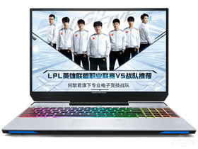 机械师F117-V(酷睿i7-9750H/16GB/512GB+1TB/RTX2060)