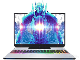 机械师F117-V(酷睿i7-9750H/8GB/512GB+1TB/GTX1650)