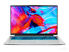 机械师战空F117-FP(酷睿i7-10870H/16GB/1TB/RTX3060/144Hz)
