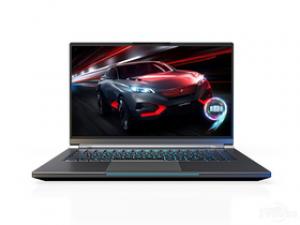攀升迁跃者D(酷睿i7-9750H/16GB/512GB/GTX1660Ti)
