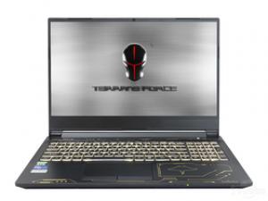 未来人类魔鬼鱼DR520 26X7SH1(酷睿i7-10750H/16GB/256GB+1TB/RTX2060)