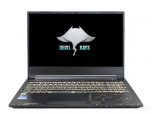 未来人类魔鬼鱼DR520 1653SH1(酷睿i5-10300H/16GB/256GB+1TB/GTX1650Ti)