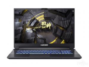 神州战神G8-CU7NS(酷睿i7-10750H/16GB/512GB/RTX2060)
